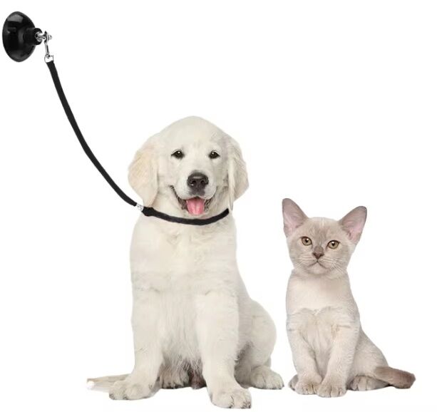 TCS Nylon Dog Bathing Tether with Suction Cup