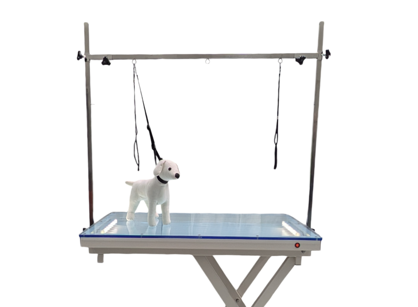 Electric Lift Grooming Table with LED and Acrylic Top