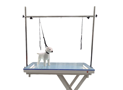 Electric Lift Grooming Table with LED and Acrylic Top