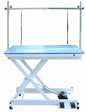 Electric Lift Grooming Table with LED and Acrylic Top