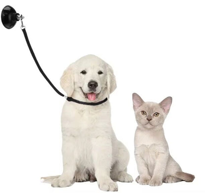 TCS Nylon Dog Bathing Tether with Suction Cup