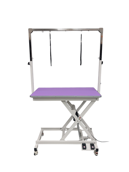 Professional Electric Pet Grooming Table with Foot Controls