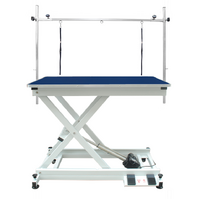 Professional Electric Pet Grooming Table with Foot Controls