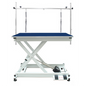 Professional Electric Pet Grooming Table with Foot Controls