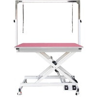 Professional Electric Pet Grooming Table with Foot Controls