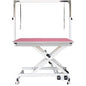Professional Electric Pet Grooming Table with Foot Controls