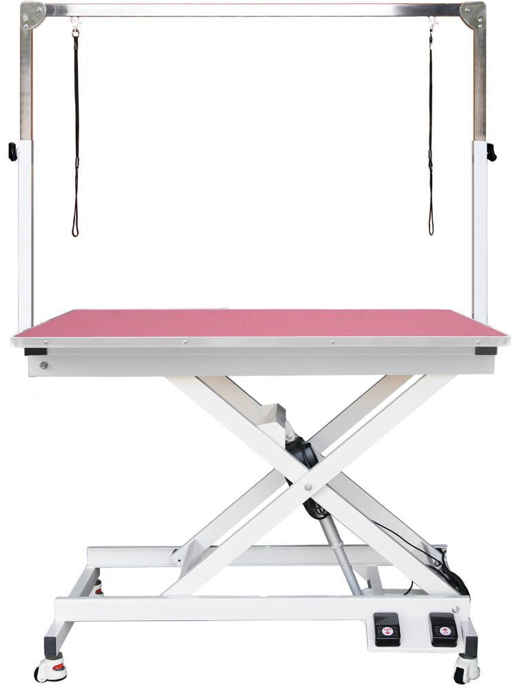 Professional Electric Pet Grooming Table with Foot Controls