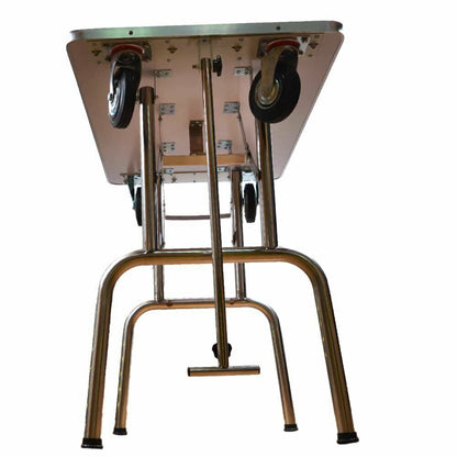 Portable Pet Grooming Table with Wheels