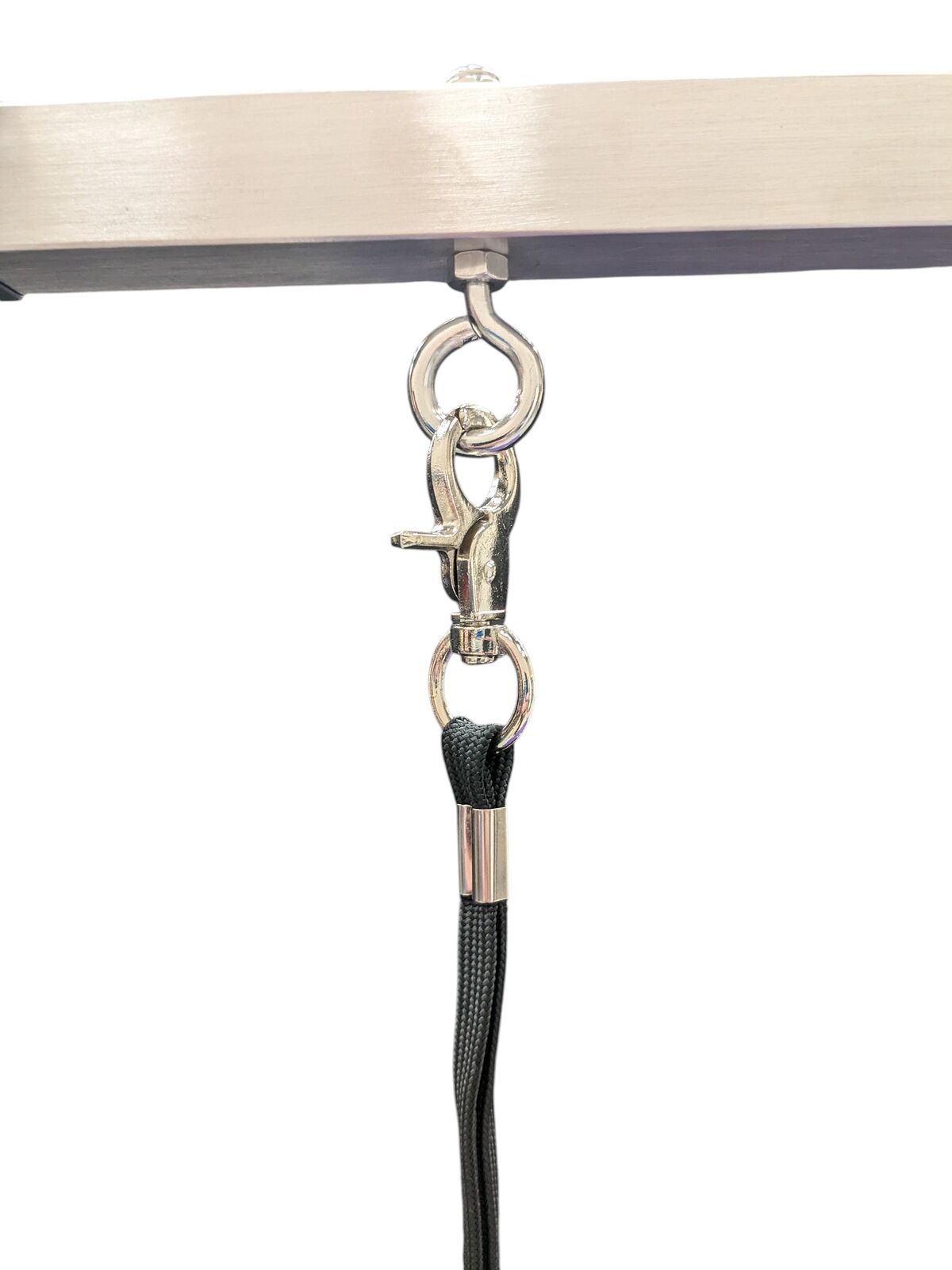 Stainless Steel Electric Lift Grooming Table Purple Locking Castor