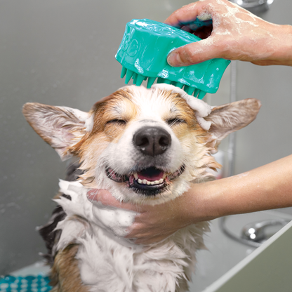 KONG ZoomGroom Bubbles Large Dog Grooming Brush