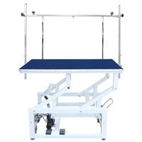 Professional Electric Pet Grooming Table with Wheels
